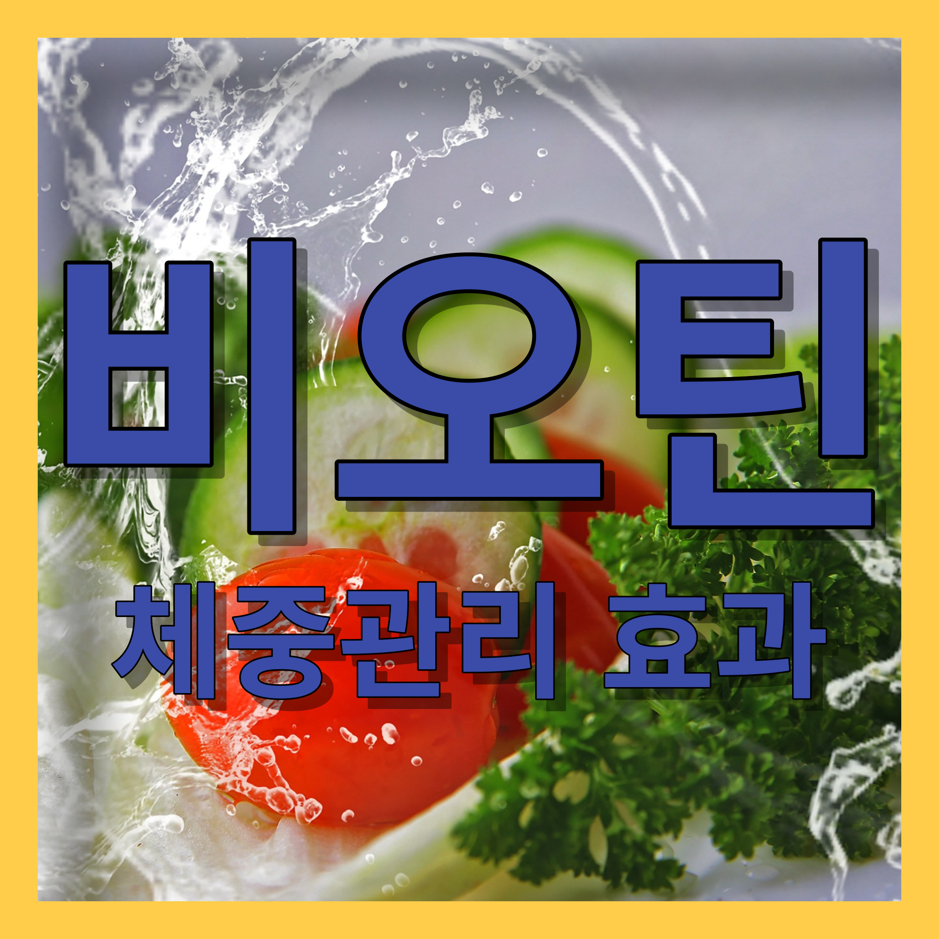 비오틴체중관리