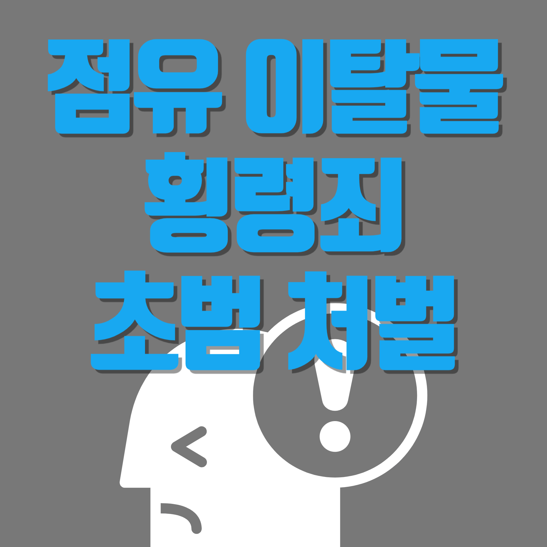 점유 이탈물 횡령죄 초범 처벌
