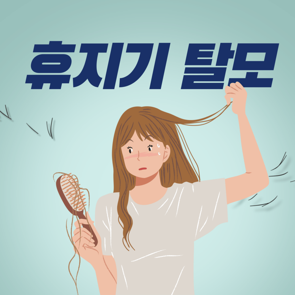 휴지기탈모