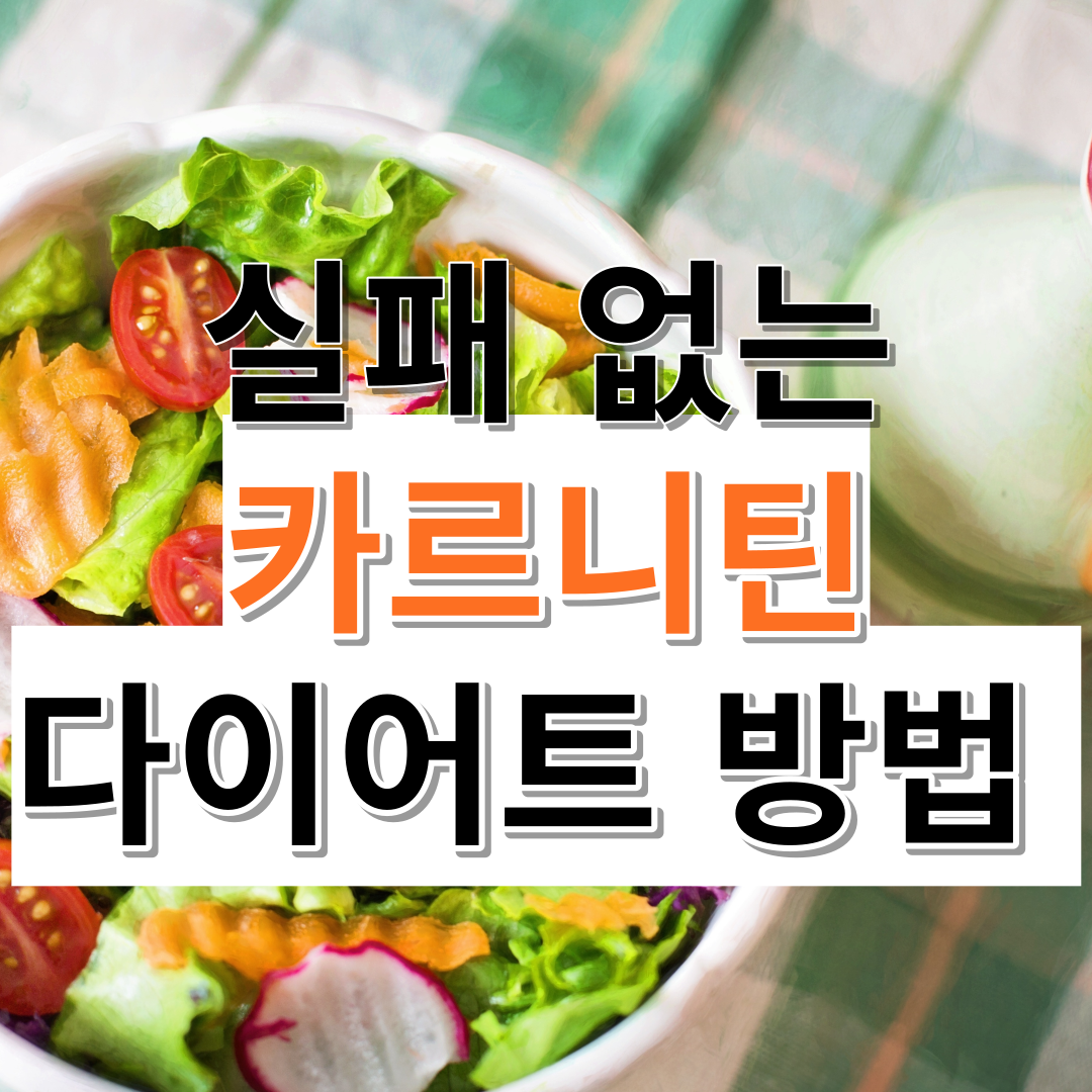카르니틴다이어트