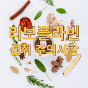리보플라빈주의사항