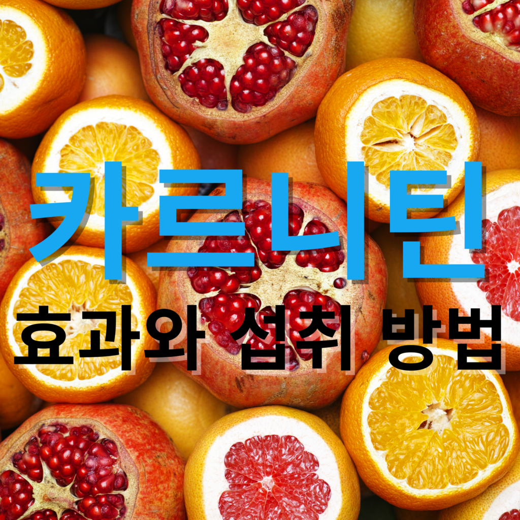 카르니틴효과