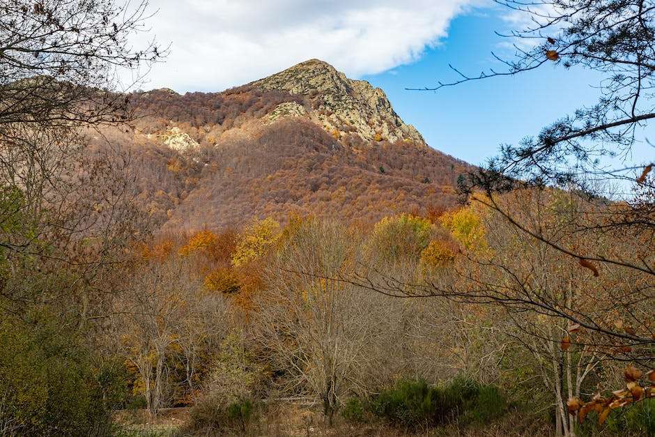 아라키돈산 부작용
