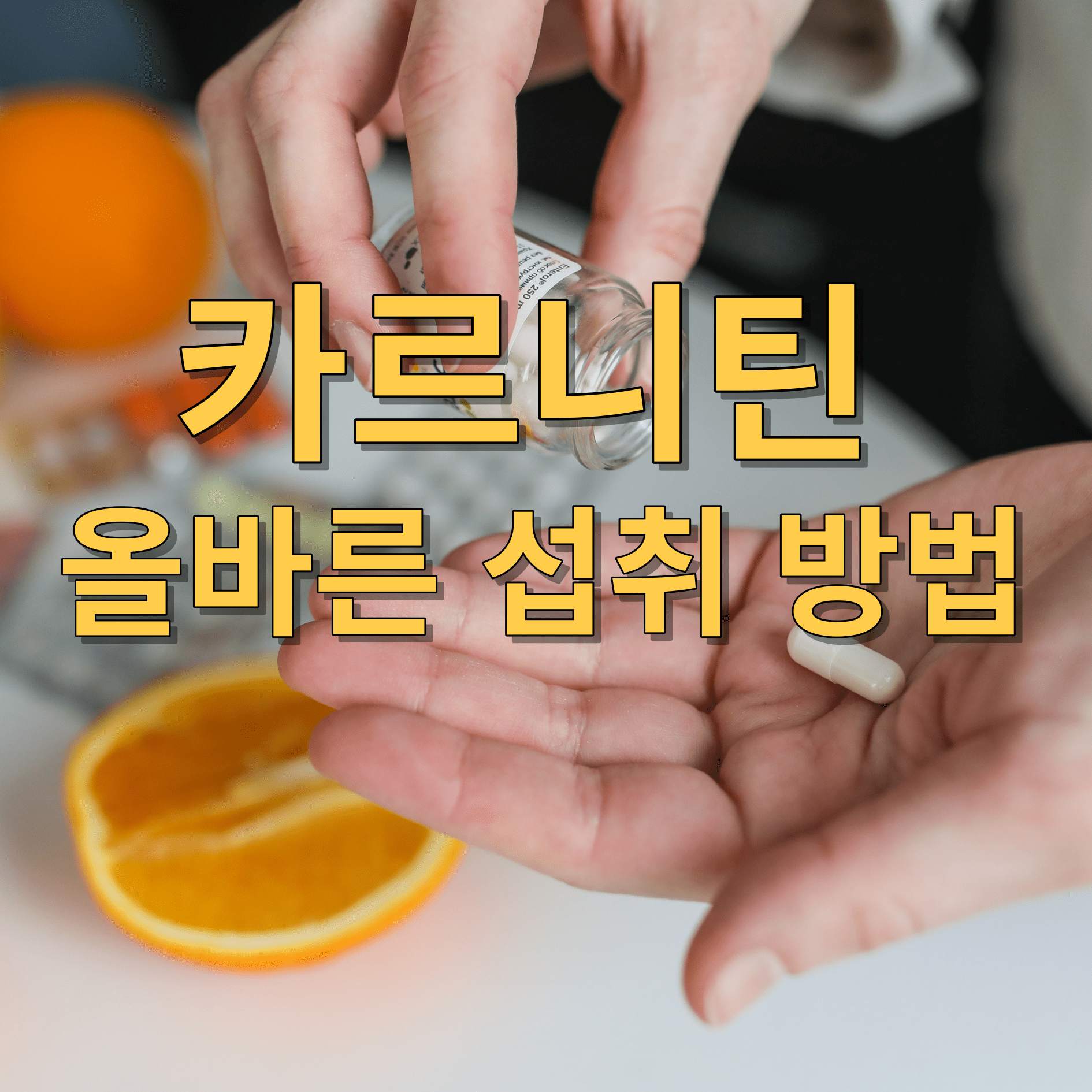 카르니틴섭취방법