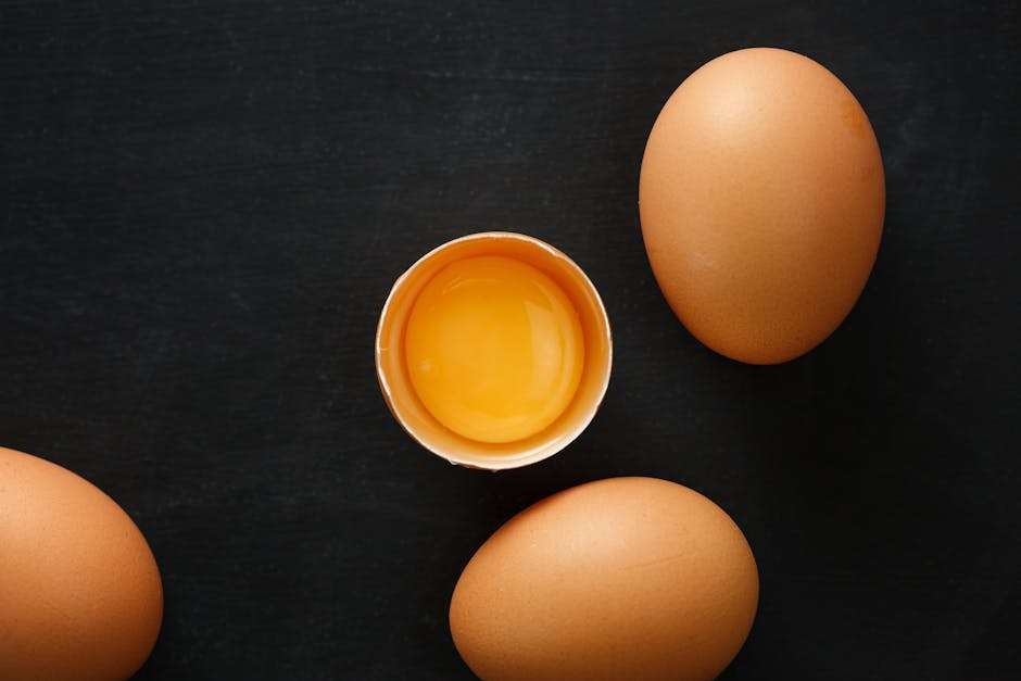 개인 정보 보호법 적용 대상