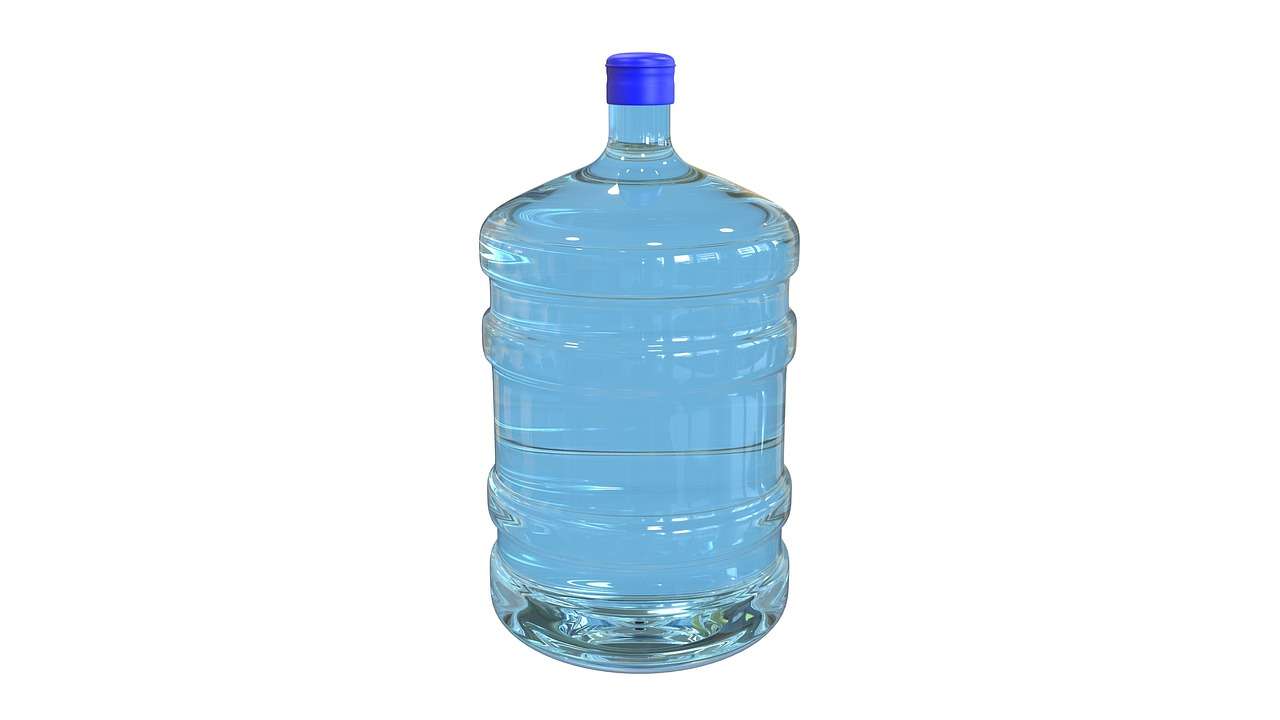 20살보험료