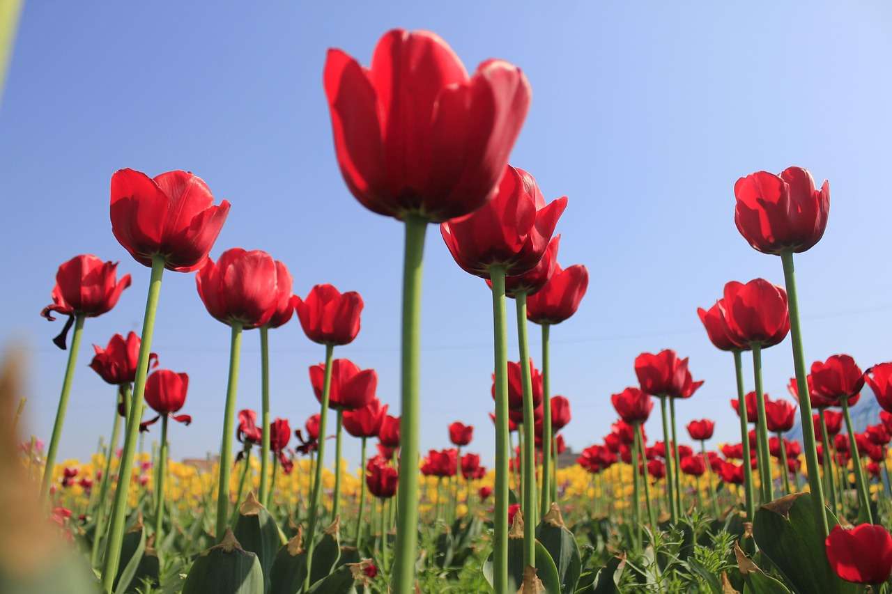 서민금융진흥원에서 저축장려금으로 최대 얼마를 지원해주나요?